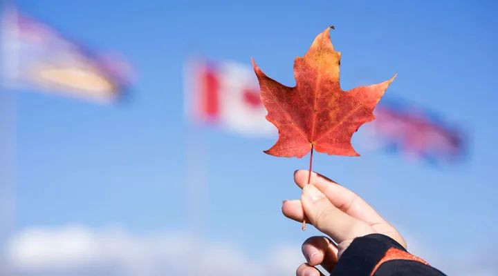 加拿大想“狂揽留学生移民”，是真的吗？